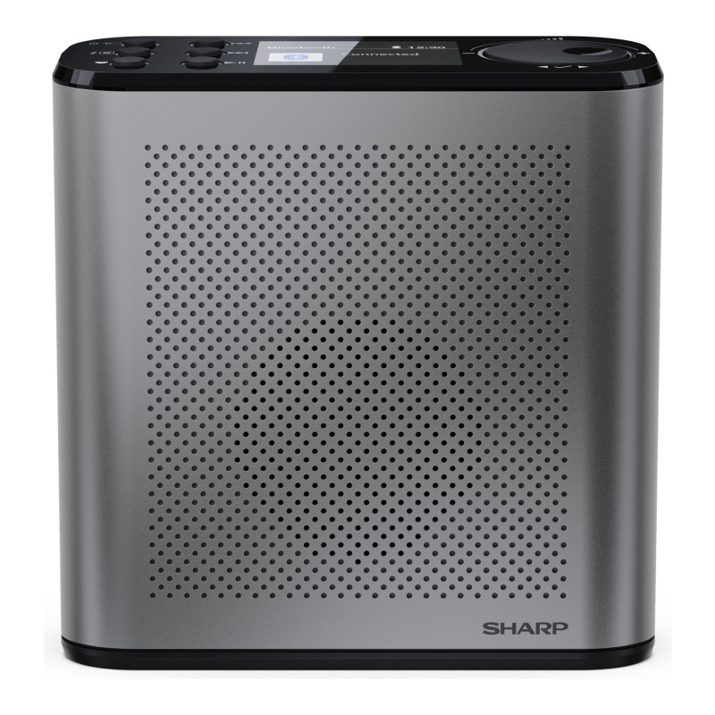 Sharp OSAKA Pārnēsājamais digitālais radio | DR-P530(GY) | USB ports | Bluetooth | FM radio | Bezvadu savienojums