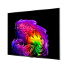 LG OLED55G61LW 55" (139 cm) 4K OLED evo Gallery Smart TV | LG