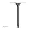 Neomounts CL35-340BL22 Dubultais monitora/TV kronšteins pie griestiem | Regulējams augstums, pagriezt, noliekt, pagriezt ap asi | 23-42