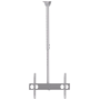 Sunne | Ceiling mount | PL-C62 | Tilt | 37-70 " | Maximum weight (capacity) 50 kg | Silver