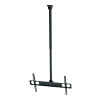 Sunne | Ceiling mount | PL-C62 | Tilt | 37-70 " | Maximum weight (capacity) 50 kg | Silver