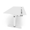 Arozzi Electric Standing Desk | Arena Nordico | White