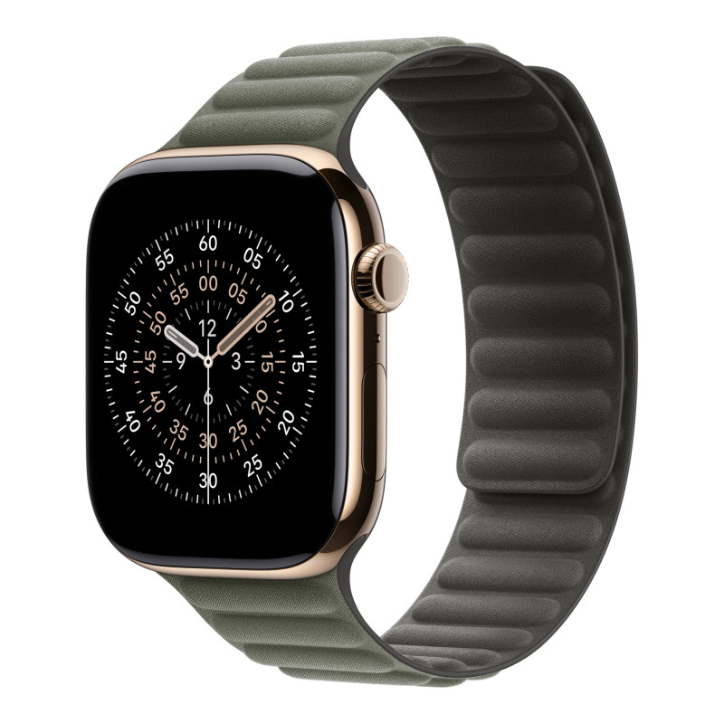 Apple 46mm Sage Gray Magnetic Link - M/L | Apple