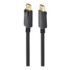 Gembird | DisplayPort kabelis, 4K | CC-DP2-5M | 2x DisplayPort spraudnis | DisplayPort uz DisplayPort | 5 m