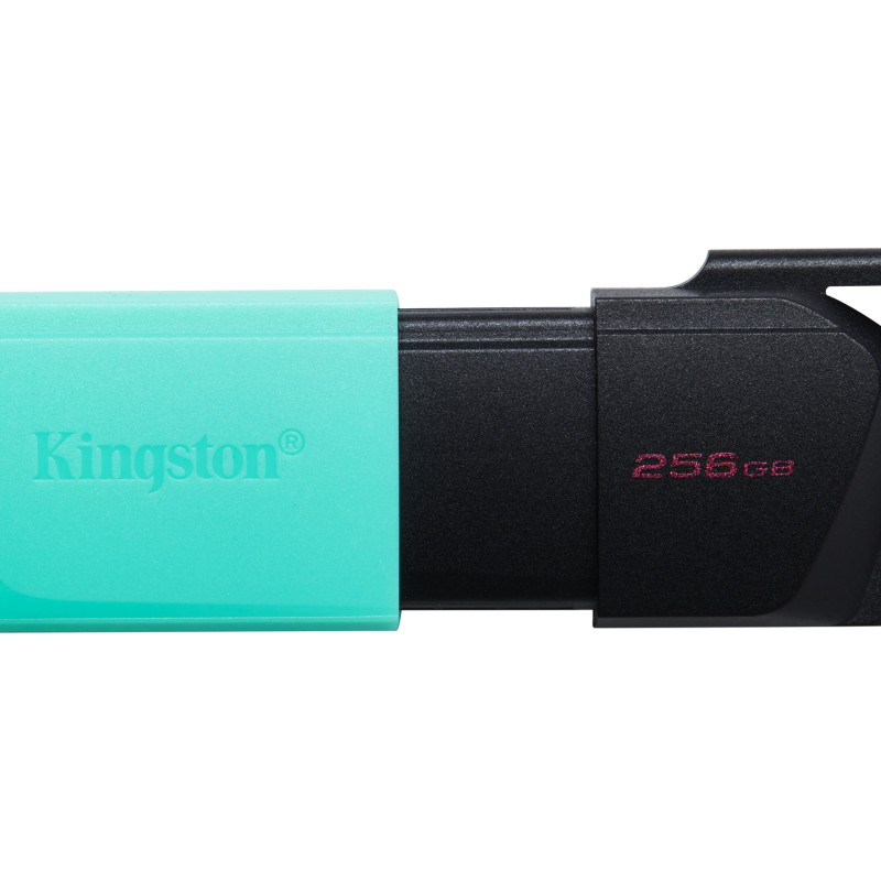 Kingston | USB zibatmiņa | DataTraveler Exodia | 256 GB | USB 3.2 Gen 1 | Melna/akrila zila