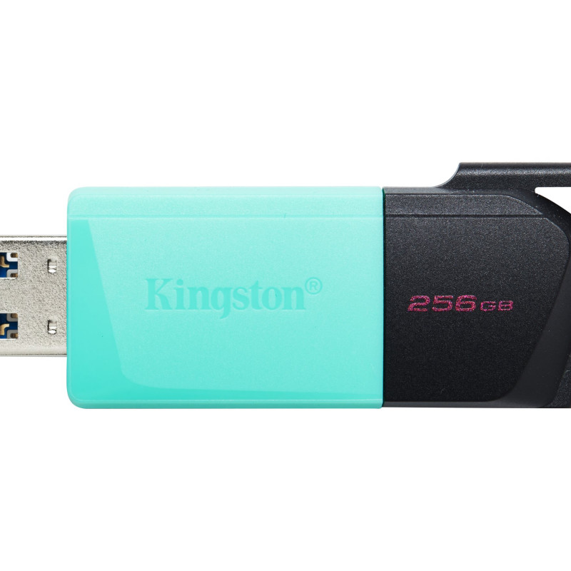 Kingston | USB zibatmiņa | DataTraveler Exodia | 256 GB | USB 3.2 Gen 1 | Melna/akrila zila
