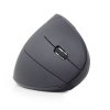 Gembird | MUSW-ERGO-01 | Optiskā pele | 2,4 GHz bezvadu optiskā pele | USB | Melna