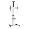 Logilink BP0025 TV statīvs ratiņi, regulējams TV augstums, 37–70