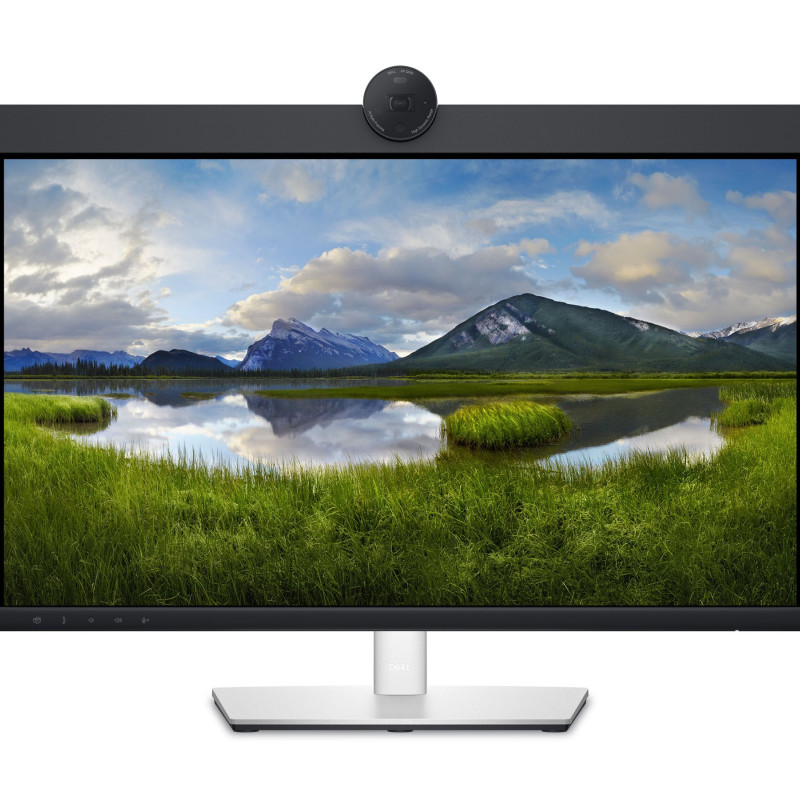 Dell | Monitors | P2424HEB | 24