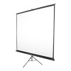 Elite Screens | Tripod Series | T119NWS1 | Diagonal 119 " | 1:1 | Viewable screen width (W) 213 cm | White
