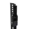 Neomounts Wall mount | WL30S-850BL14 TV mount | Micro adjustment | 32-75 " | Maximum weight (capacity) 50 kg | Black