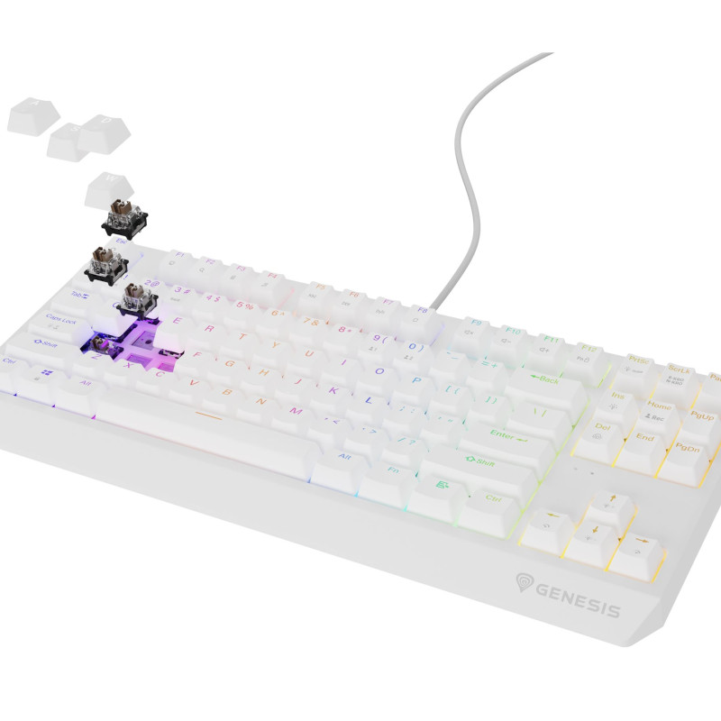 Genesis | THOR 230 | Mechanical Gaming Keyboard | Wired | US | Outemu Brown | White