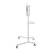Neomounts Floor stand | NS-M1250WHITE TV grozs | Rotācija, Noliekšana | 37-70