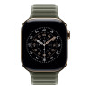 Apple 46mm Sage Gray Magnetic Link - S/M | Apple