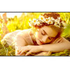LG 4K UHD Signage | 65UL5Q-E | 65 " | 500 cd/m² | Landscape/Portrait | 24/7 | webOS | 8 ms | 178 ° | 178 °
