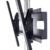 EDBAK | WWTR-TR51c-B | Trolleys & Stands | 37-60 " | Maximum weight (capacity) 80 kg | Black