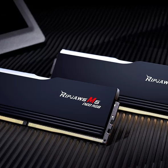 G.Skill Ripjaws M5 Neo RGB | 32 GB | DDR5 | 6000 MHz | PC/Server | Reģistrēta: Nē | ECC: Nē