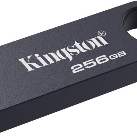 Kingston USB Flash Drive | DataTraveler SE9 G3 | 256 GB | USB Type-A | Grey