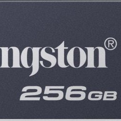 Kingston USB Flash Drive | DataTraveler SE9 G3 | 256 GB | USB Type-A | Grey