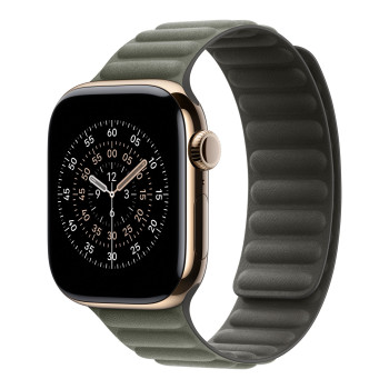 Apple 42mm Sage Gray Magnetic Link - S/M | Apple