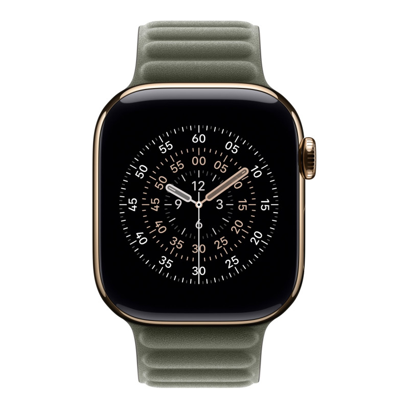 Apple 42mm Sage Gray Magnetic Link - S/M | Apple