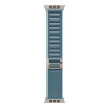 Apple 49mm Light Blue Alpine Loop - Large - Natural Titanium Finish | Apple