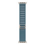 Apple 49mm Light Blue Alpine Loop - Large - Natural Titanium Finish | Apple