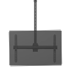 Neomounts CL35-440BL16XL Monitor/TV stiprinājums pie griestiem | Regulējams augstums, rotācija, noliekšana, pagriešana | 37–70