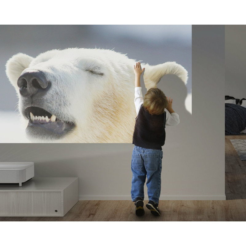 Epson | EH-LS800W | 4K PRO-UHD 3840 x 2160 (2 x 1920 x 1080) | 4000 ANSI lūmeni | Balts