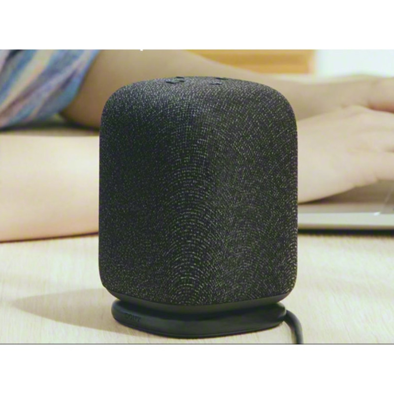 Sony Speaker | SRS-LS1 LinkBuds | Ūdensizturīgs | Bluetooth | Bezvadu savienojums | Pārnēsājams | Melns