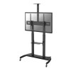 Neomounts Stenda statīvs | PLASMA-M1950E TV ratiņi | Regulējams augstums, slīpums | 60–100