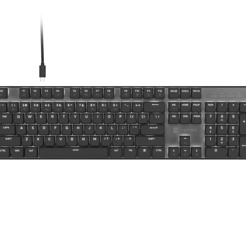 Natec Amberjack | Tastatūra | Ar vadu | US | Lineārs | Balta aizmugurgaismojuma, Maināmas slēdžu, Anti-ghosting, Iebūvēta atmiņa, Makro ierakstīšana | Melna/ pelēka