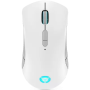 Lenovo | Spēļu pele | Legion M600 | Gaming Mouse | Bezvadu/vadu | Optiskā | Bluetooth, USB-C | Stingray | Jā