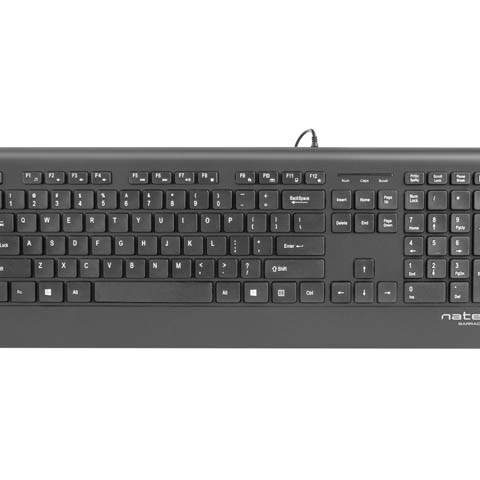 Natec Keyboard, Barracuda, US Layout, Slim | Natec | Keyboard | Barracuda | Standard | Wired | US | Black