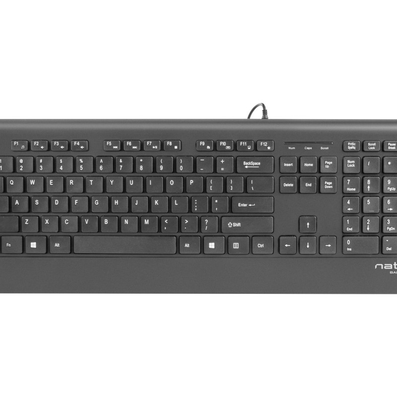 Natec Keyboard, Barracuda, US Layout, Slim | Natec | Keyboard | Barracuda | Standard | Wired | US | Black
