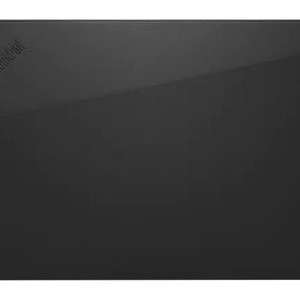 Lenovo | Professional | ThinkPad Professional 13" | Sleeve | Black