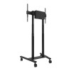 Neomounts Floor stand | FL55-875BL1 TV trolley | Adjustable Height | 55-100 " | Maximum weight (capacity) 110 kg | Black