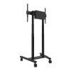 Neomounts Floor stand | FL55-875BL1 TV trolley | Adjustable Height | 55-100 " | Maximum weight (capacity) 110 kg | Black