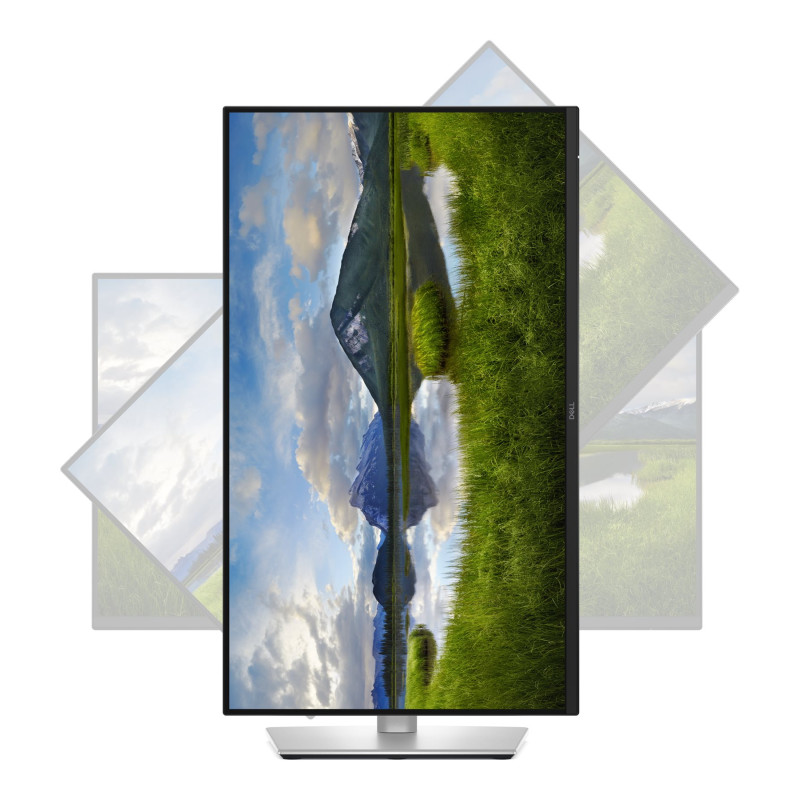 Dell | P2425DE | 24
