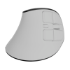 Natec Mouse | Euphonie Pro | Wireless | 2.4 GHz, Bluetooth | White