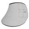 Natec Mouse | Euphonie Pro | Wireless | 2.4 GHz, Bluetooth | White