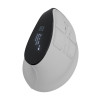 Natec Mouse | Euphonie Pro | Wireless | 2.4 GHz, Bluetooth | White
