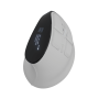 Natec Mouse | Euphonie Pro | Wireless | 2.4 GHz, Bluetooth | White