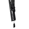 Neomounts Wall mount | WL35-550BL14 TV mount wall | Tilt | 32-75 " | Maximum weight (capacity) 50 kg | Black