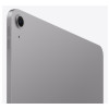 Apple 13