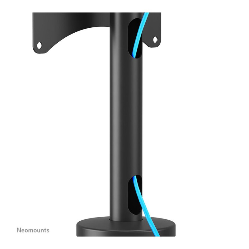 Neomounts Desk Mount | DS42-430BL12 TV stand | Swivel | 23-43 " | Maximum weight (capacity) 50 kg | Black