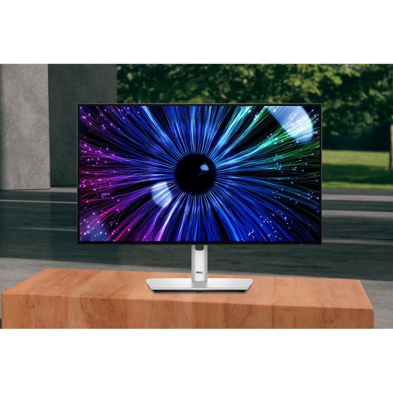 Dell | Monitors | U2424HE | 24