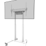 Neomounts stāvvāze | FL55-875WH1 TV ratiņi | Regulējams augstums | 55–100