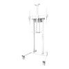 Neomounts stāvvāze | FL55-875WH1 TV ratiņi | Regulējams augstums | 55–100