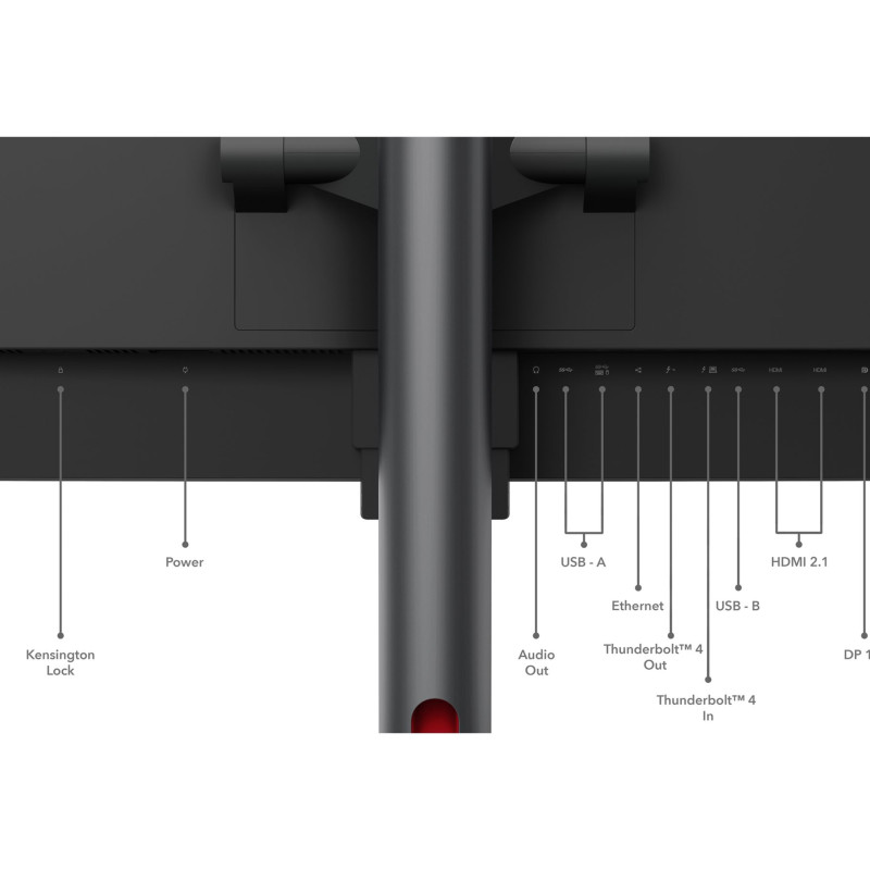 Lenovo | ThinkVision | P49w-30 | 49 " | IPS | 32:9 | 60 Hz | 4 ms | 5120 x 1440 | 350 cd/m² | HDMI ports quantity 2 | Black